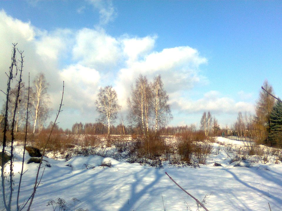 Obraz0894