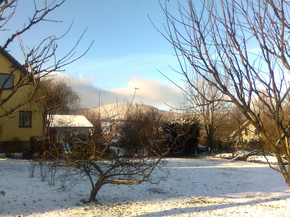 Obraz0512