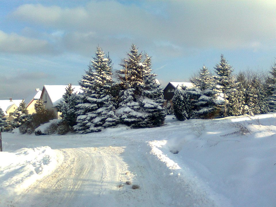 Obraz0549