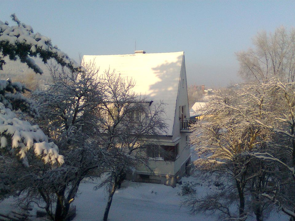 Obraz0807