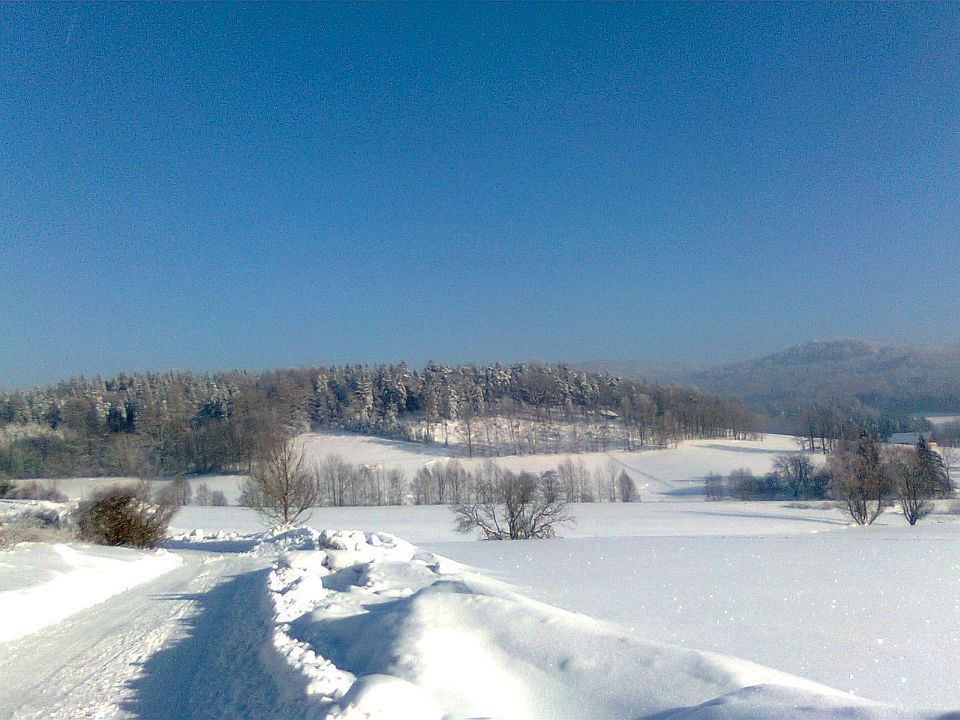 Obraz0840
