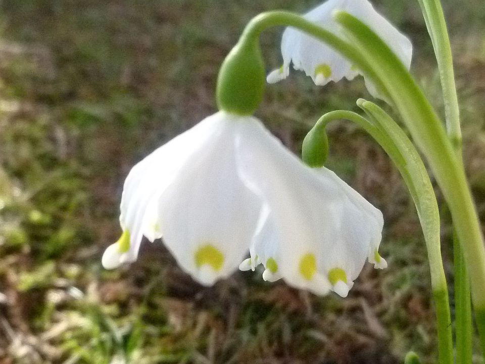 P1000466